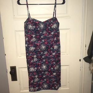 Lilly Pulitzer Firecracker Dress